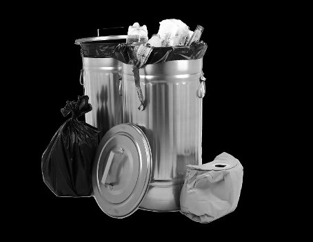 Eco-friendly garden clearance services